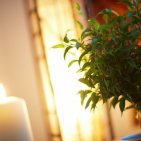 Siam Thai Massage