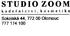 Studio Zoom