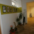 Studio Nice Ostrava