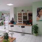 Salon Biolage